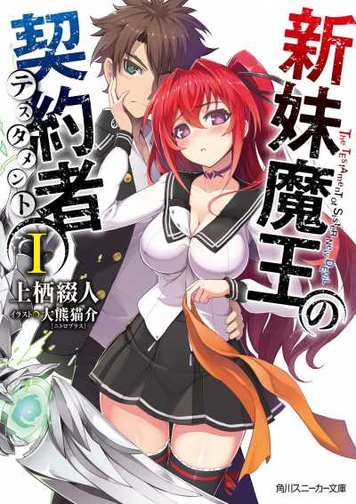 High School DxD Light Novel 1-25 Volume Set [Used]